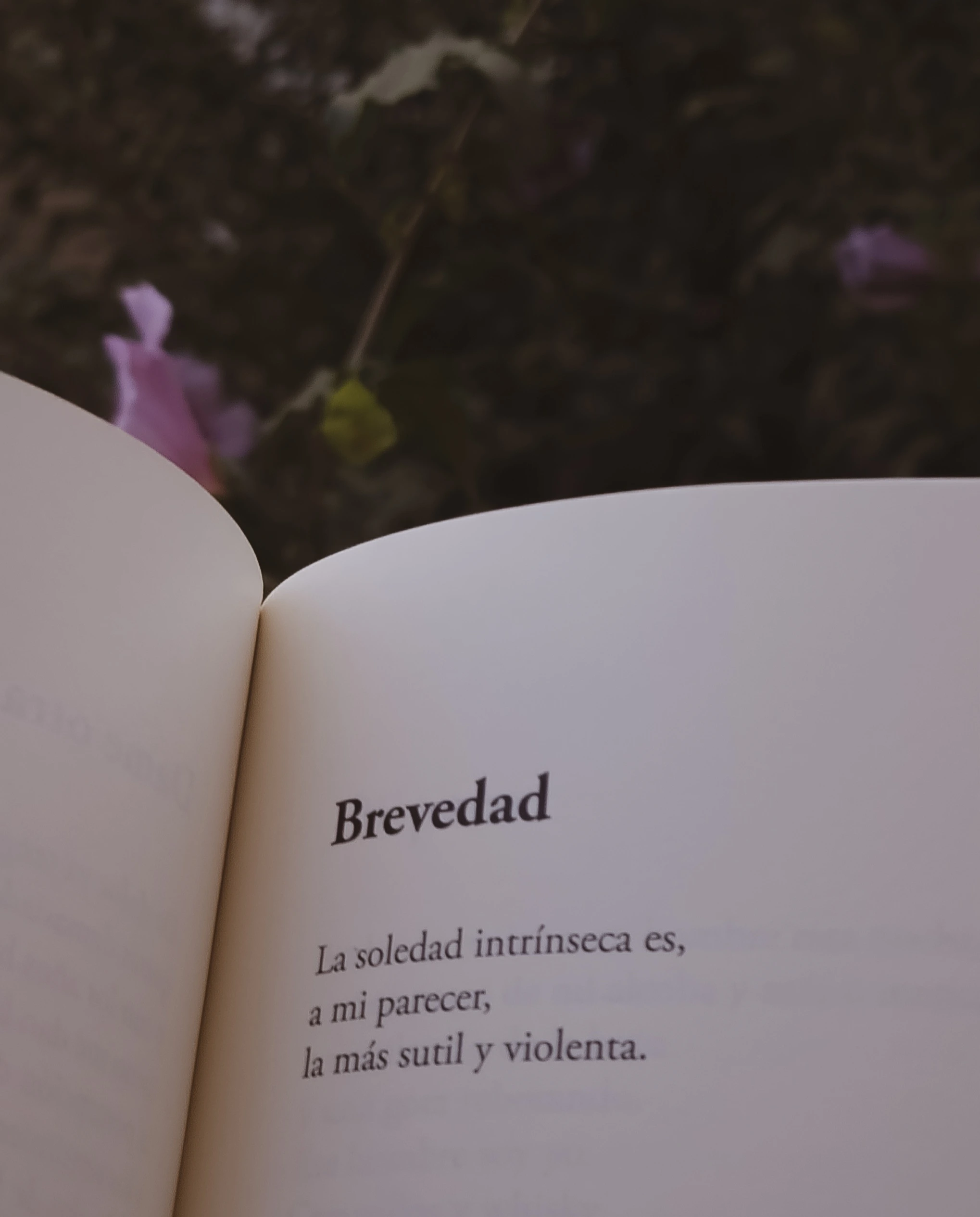 Otra página del libro Cielos de alquitrán